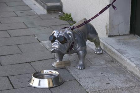Beware of Silverdog - Art can be anywhere